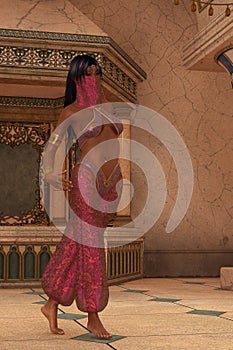 Veiled arabian nights princess photo