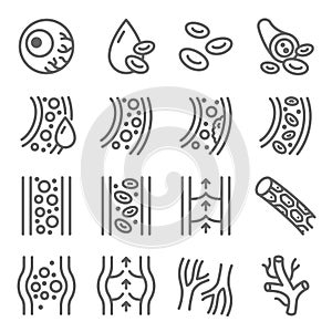 Vein icon illustration vector set. Contains such as Capillary, Cell, Hemoglobin, Blood vessel, Artery and more. Editable stroke