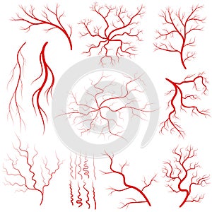 Vein set, Human vessel, eye veins vector