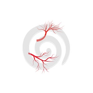 Veins icon Vector Illustration design