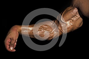 Veins and tendons in the arm. Arm with muscles, biceps, triceps and veins on black background. Muscular bodybuilder