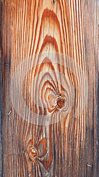 Veins on wood