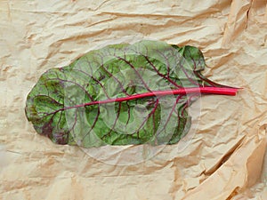Veiny leaf