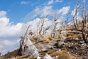 Velebit, Croatia