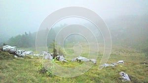 Velebit - RoÅ¾anski kukovi, rock surrounded by fog and forest