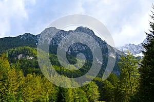 Velika Baba mountain above Ravenska Kocna photo