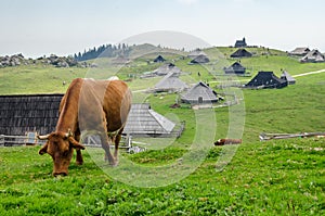 Velika Planina, Slovenia