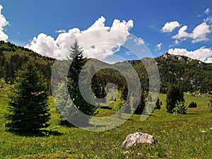 Veliki Lubenovac meadow in the Northern Velebit National Park