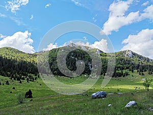 Veliki Lubenovac meadow in the Northern Velebit National Park