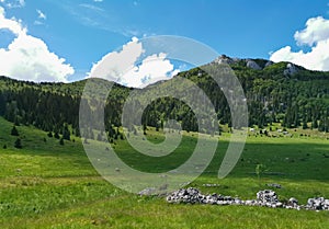 Veliki Lubenovac meadow in the Northern Velebit National Park