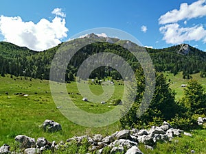 Veliki Lubenovac meadow in the Northern Velebit National Park