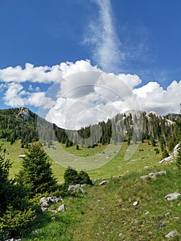 Veliki Lubenovac meadow in the Northern Velebit National Park