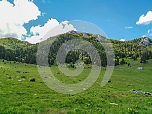 Veliki Lubenovac meadow in the Northern Velebit National Park