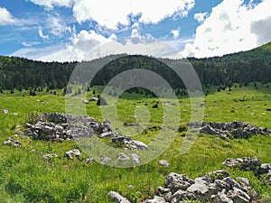 Veliki Lubenovac meadow in the Northern Velebit National Park