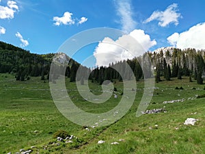 Veliki Lubenovac meadow in the Northern Velebit National Park