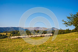 Velka Fatra Borisov mountains landscape