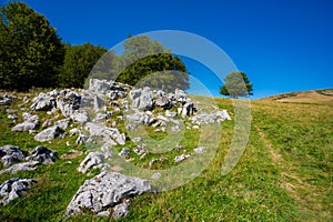 Veľká Fatra Borišovské vrchy krajina