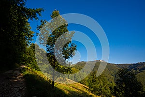 Veľká Fatra Borišovské vrchy krajina