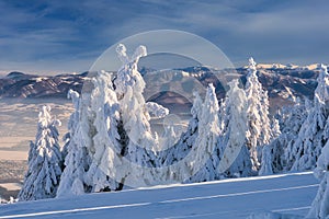 Velka Fatra mountains from Zazriva peak on Mala Fatra mountains near Martinske Hole