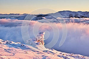 Velka Hola mountain in Low Tatras mountains during winter sunrise