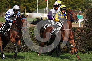 Velka Pardubicka Steeplechase in Pardubice, Czech Republic.