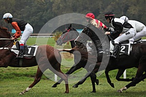 Velka Pardubicka Steeplechase in Pardubice, Czech Republic.