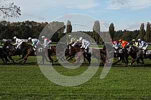 Velka Pardubicka Steeplechase in Pardubice, Czech Republic