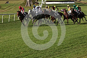 Velka Pardubicka Steeplechase in Pardubice, Czech Republic