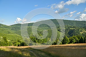 Vrch Velká Rača, dominantní symbol Kysuckých Beskyd u Oščadnice