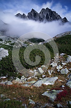 Velka Studena dolina, Vysoke Tatry, Slovakia: knee-timber is a part of the tourist trail at the ascent to Zbojnicka chata