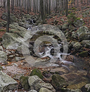 Velky Cerny Stolpich creek in autumn fresh morning in Jizerske mountains