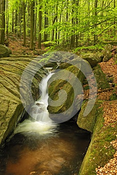 Velky Falls in super green forest surroundings, Czech Republic