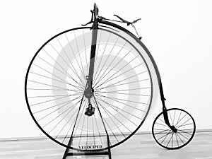 Velocipede bicycle photo
