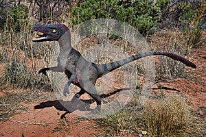 Velociraptor