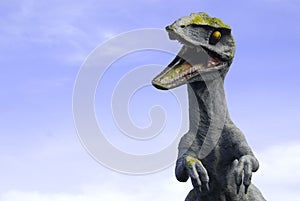 Velociraptor photo