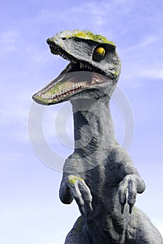 Velociraptor photo