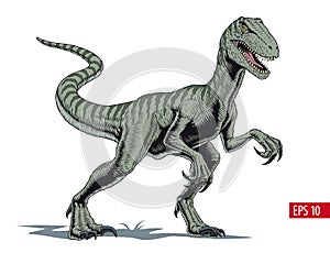 Velociraptor dinosaur, comic style vector illustration