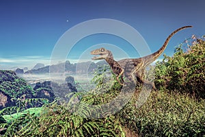 Velociraptor Dinosaur on  the  mountain photo