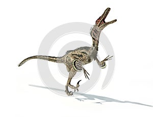 Velociraptor dinosaur, scientifically correct, with feathers. photo