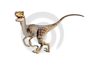 Velociraptor Dinosaur on white background photo