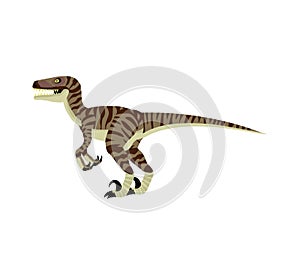 Velociraptor