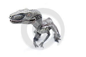 Velociraptor isolated on white background
