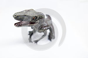 Velociraptor isolated on white background