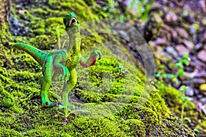 Velociraptor walking on old moss with small shrub