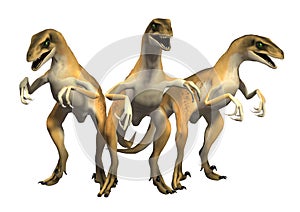 Velociraptors Jurassic Park Raptors Dinosaurs