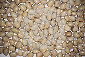 Velvet bean or Cowitch or Cowage Lacuna bean Lyon bean Konch beej Mucuna pruriens used as Ayurvedic herb legume