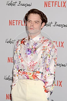 Velvet Buzzsaw Los Angeles Premiere Screening