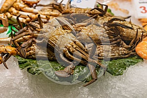 Velvet crab on ice in the market.