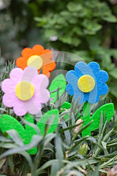 velvet flowers arranged with grass