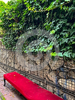 A velvet red under under the climbing plant in Galata district, Istanbul